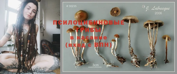 МДПВ Болохово