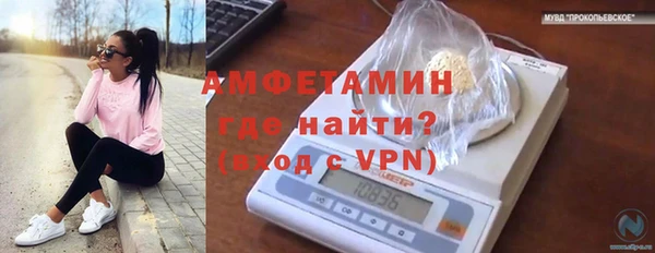 молекула духа Болхов