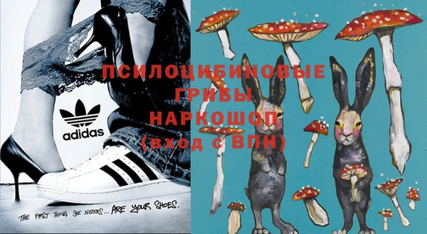 молекула духа Болхов