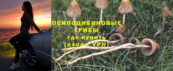 кокаин колумбия Болотное