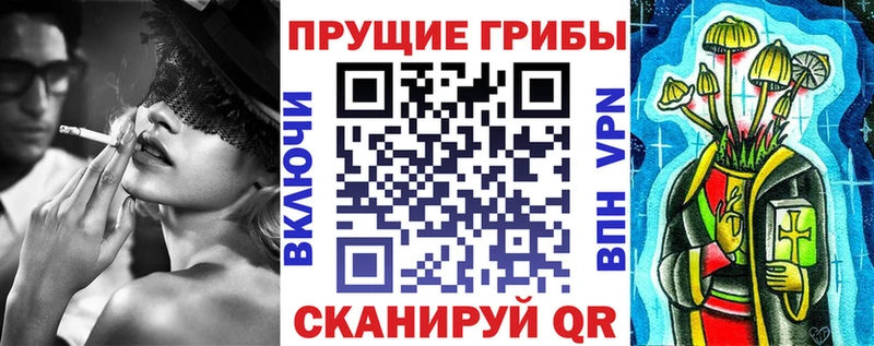 Псилоцибиновые грибы мицелий  даркнет как зайти  Балтийск 