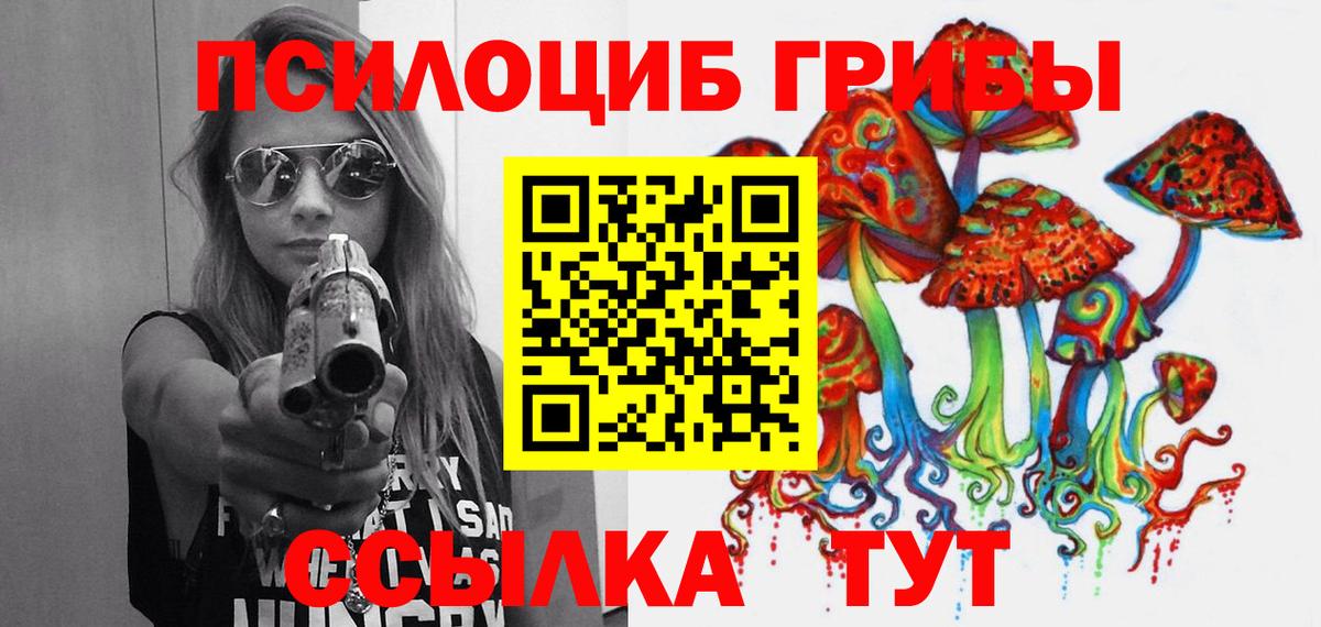 Галлюциногенные грибы Psilocybine cubensis  где можно купить наркотик  Галлюциногенные грибы ЛСД  Балтийск 