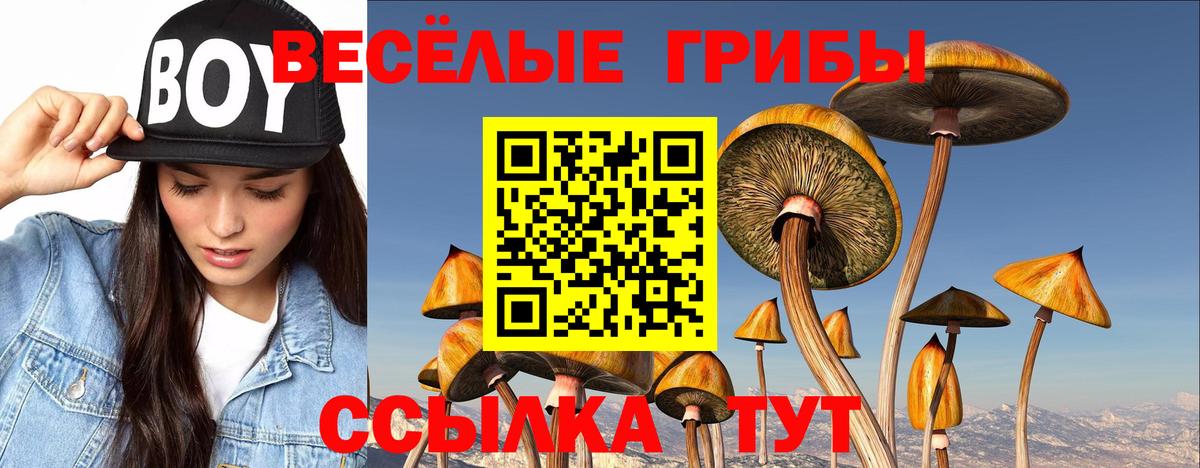Галлюциногенные грибы мицелий Балтийск