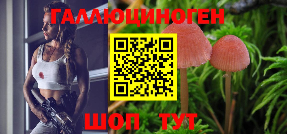 Галлюциногенные грибы прущие грибы  Вход с VPN  Балтийск 