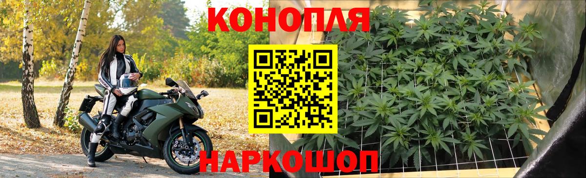 Бошки марихуана планчик Балтийск
